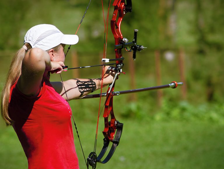 Archery Range Saginaw Field & Stream