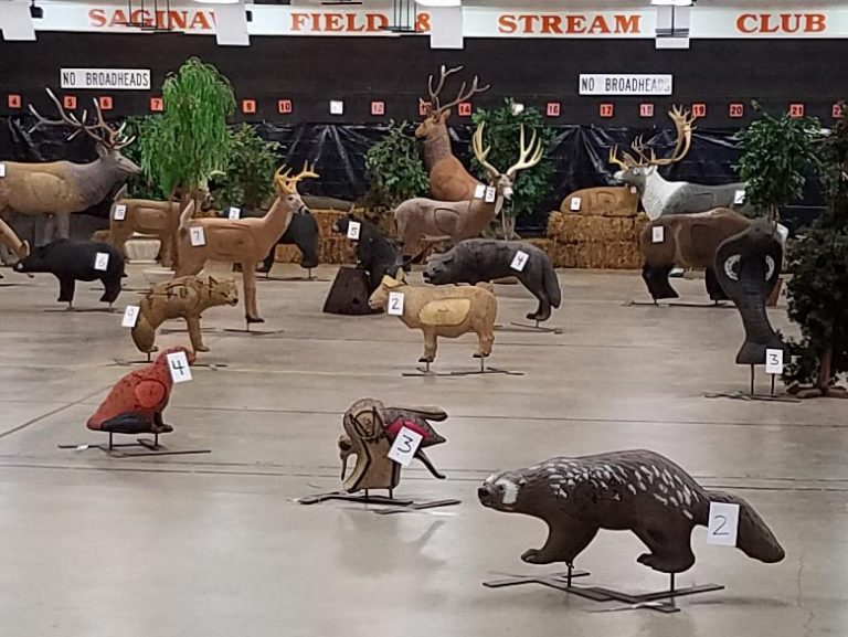 Archery Range Saginaw Field & Stream